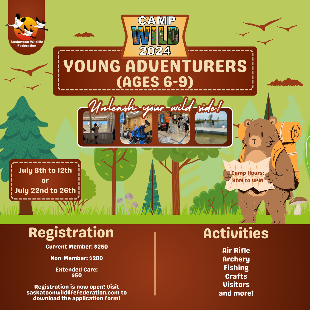 Camp Wild 2024 - Young Adventurers (Ages 6-9) - July 8th to 12th - FULL ...